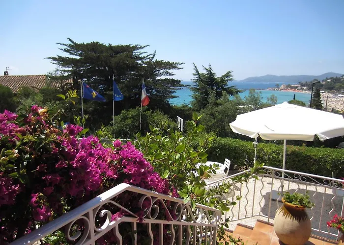 فندق Belle Vue 3*